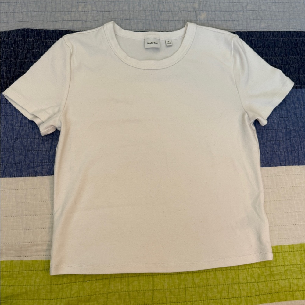 Aritzia - Sunday Best White Ribbed Baby tee